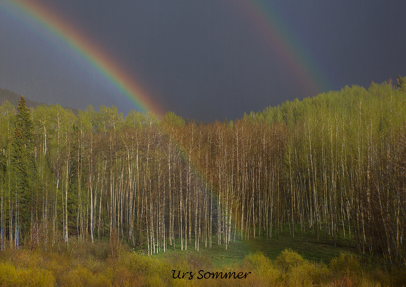 Regenbogen in der Lizard Head Wilderness Colorado